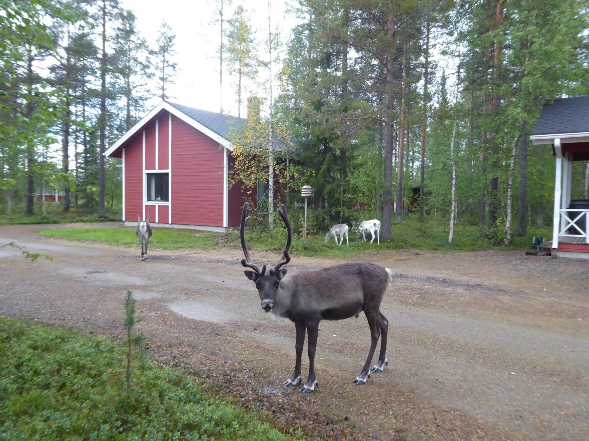 Maentymajat Hébergement de vacances Äkäslompolo